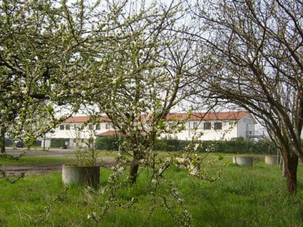 Hotel Lory Ficarolo Extérieur photo